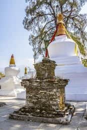 Witness the Thong-Wa-Rang-Dol Chorten