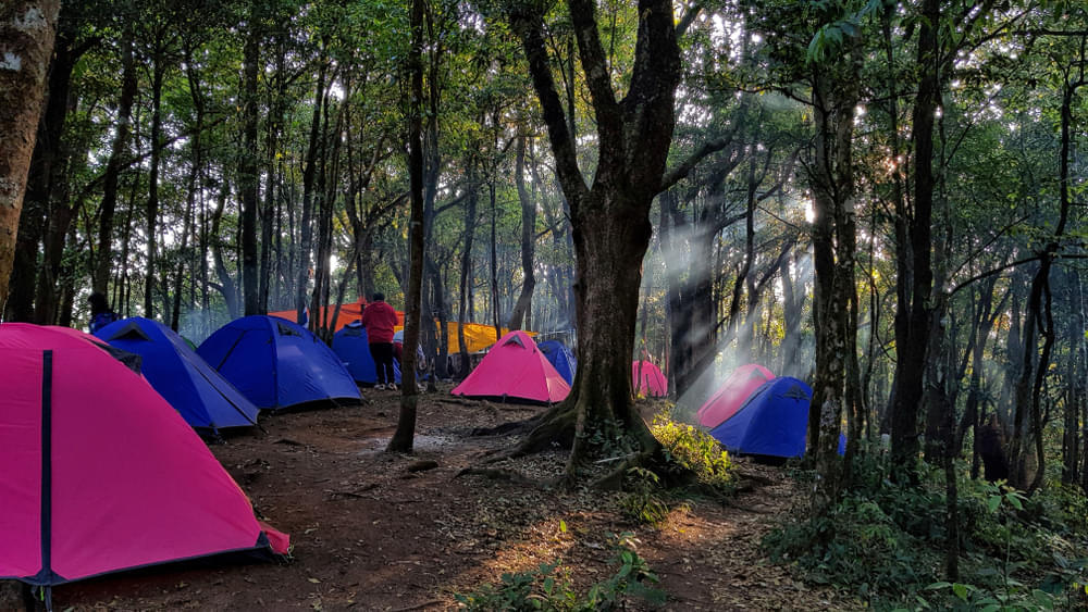 Camping Experiences in Pachmarhi