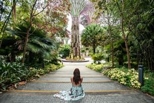 Beautiful views of Gardens by the Bay