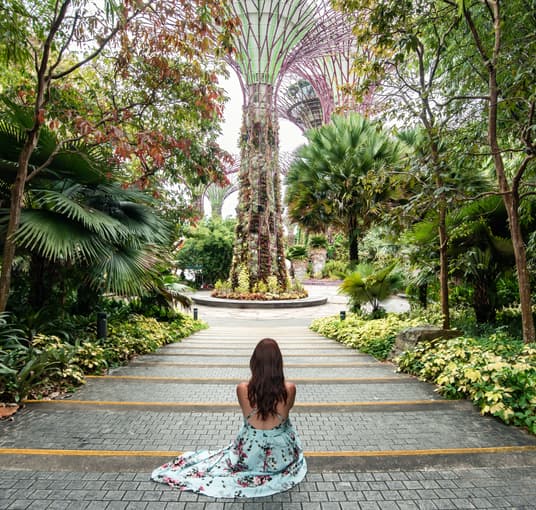 Beautiful views of Gardens by the Bay