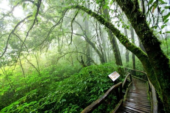 Doi Inthanon National Park Tour