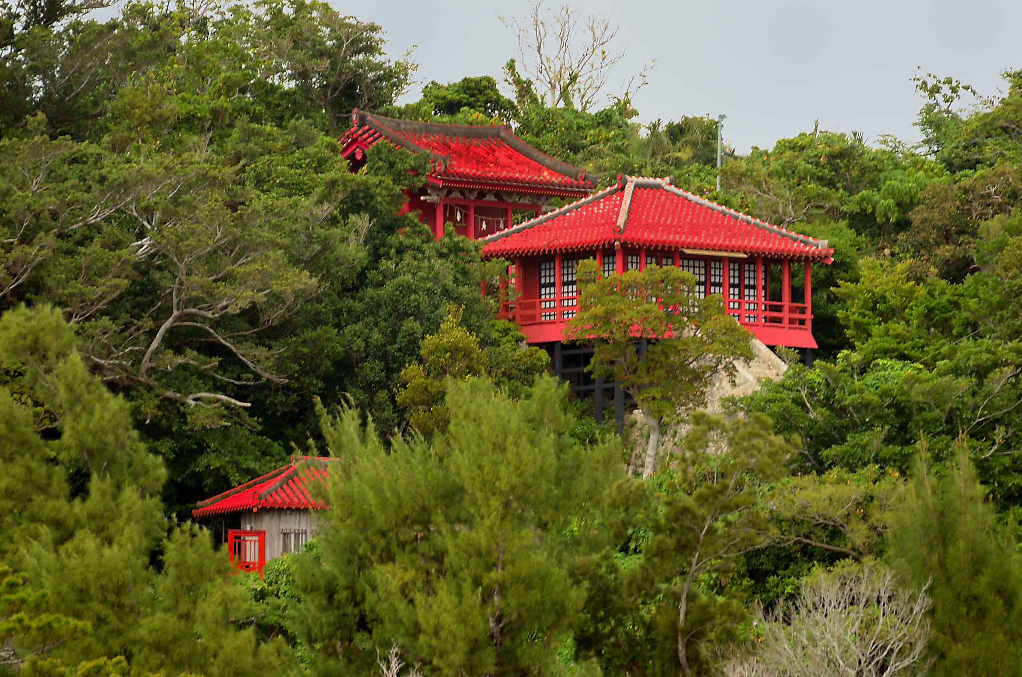 Okinawa Tours From Naha