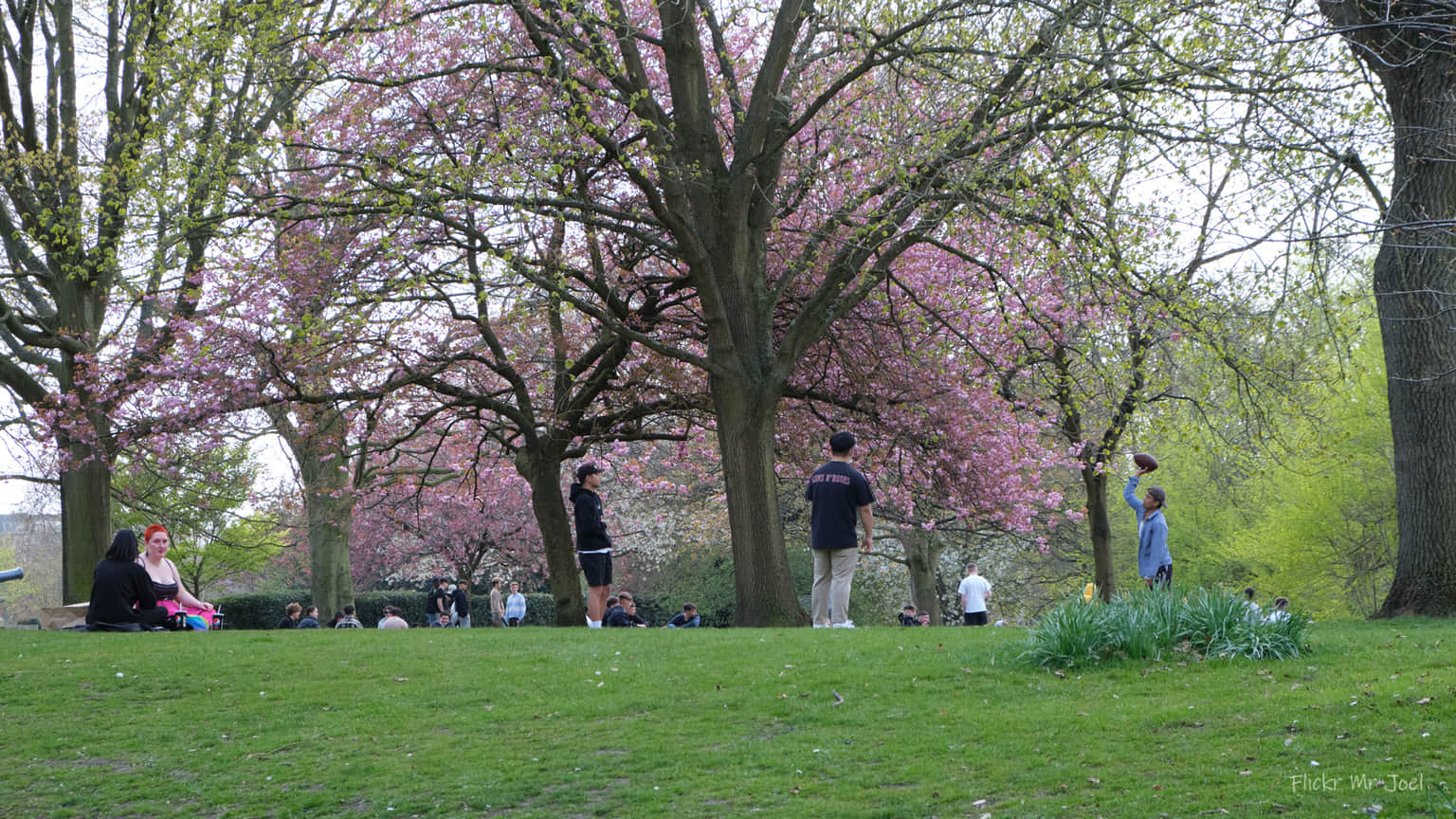 The Arboretum, <em>Nottingham</em>