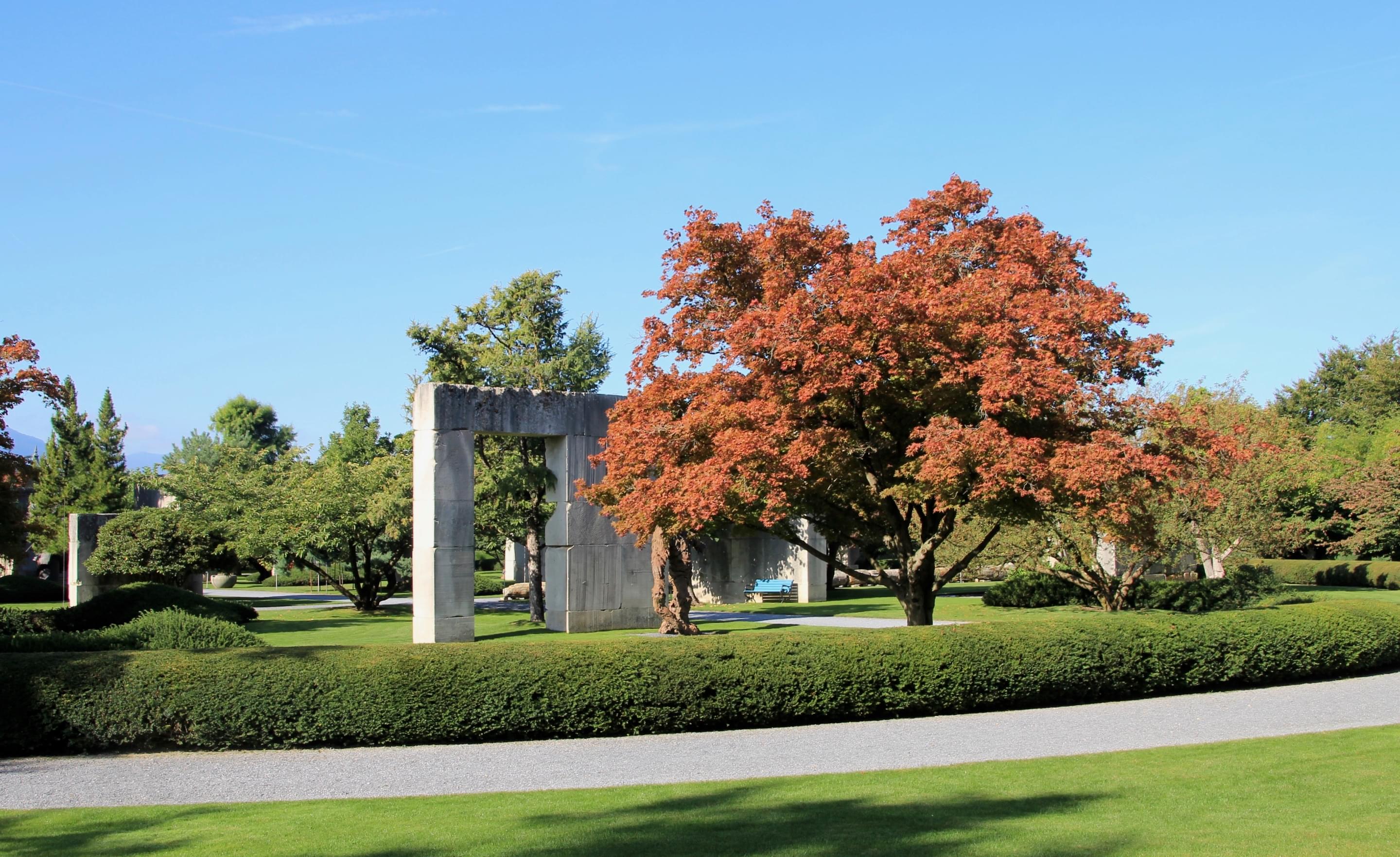 Enea Tree Museum Overview