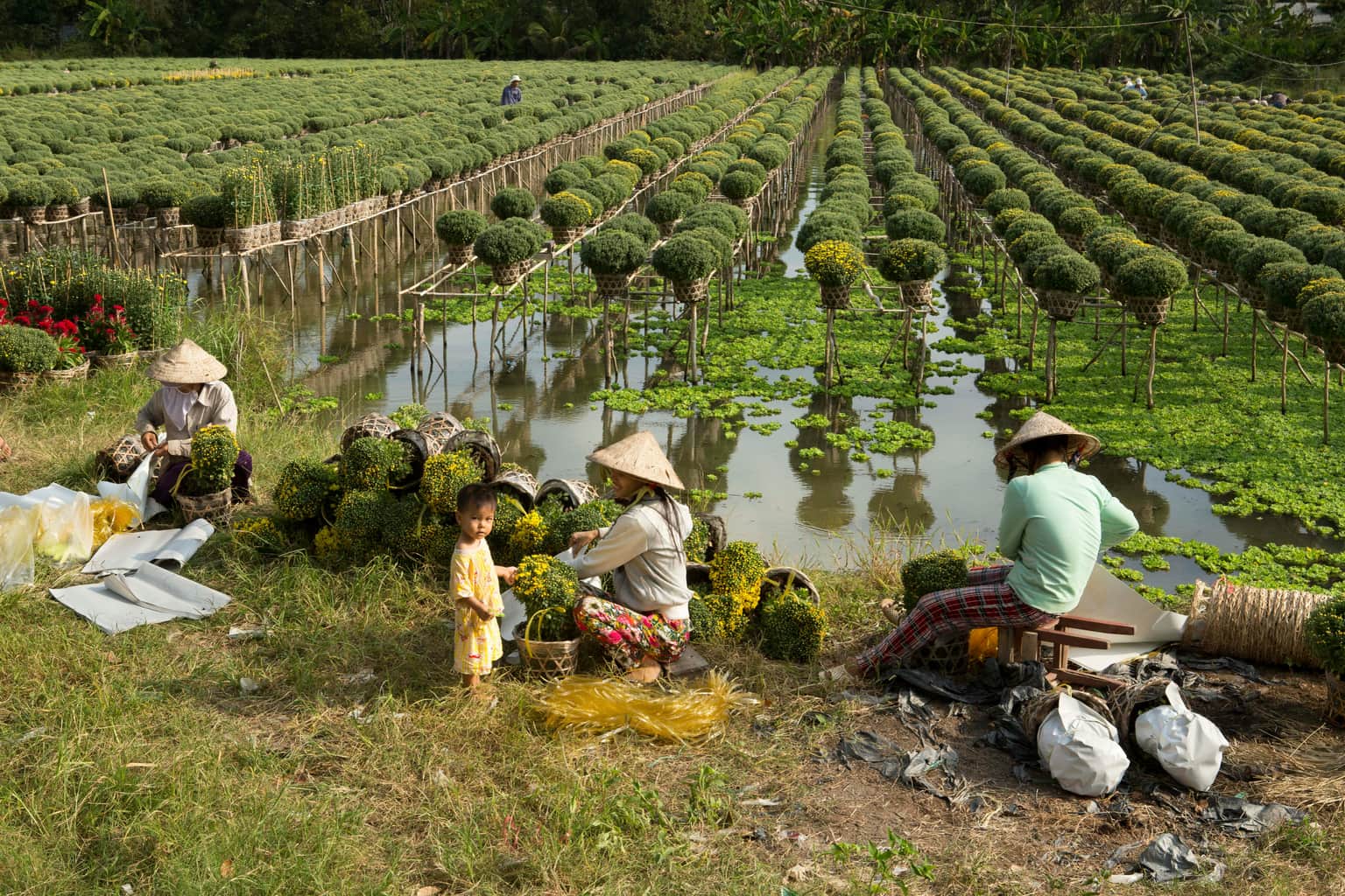 Experience the rural life