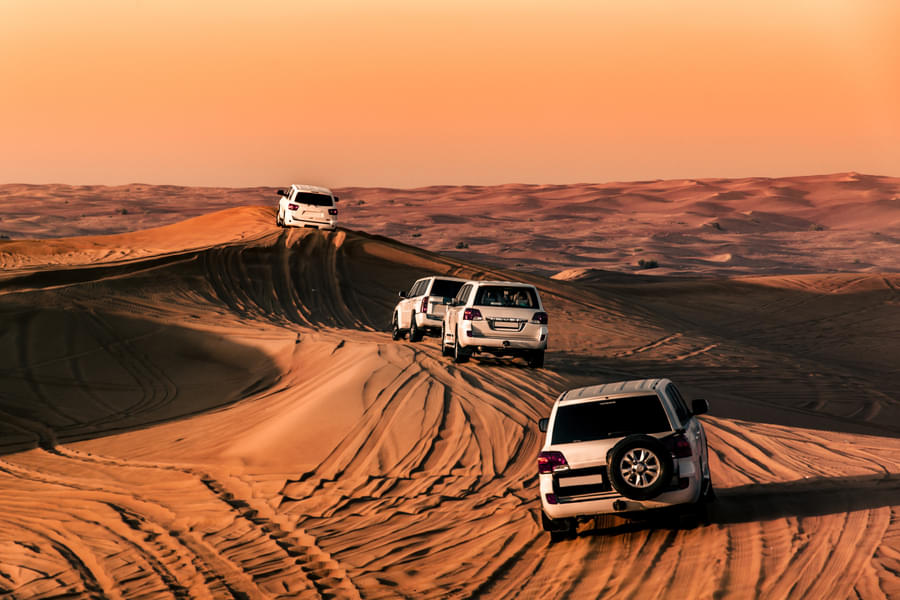 Experience an exhilarating ride through the desert sands with dune bashing