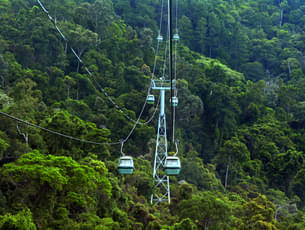 Skyrail Rainforest Cableway Tickets, Cairns