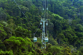 Skyrail Rainforest Cableway Experience