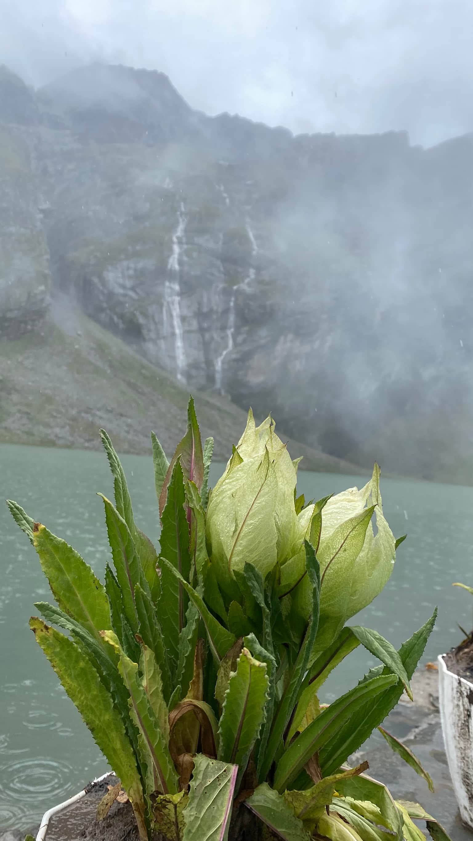 Photo from Swarna Mazumder's trip