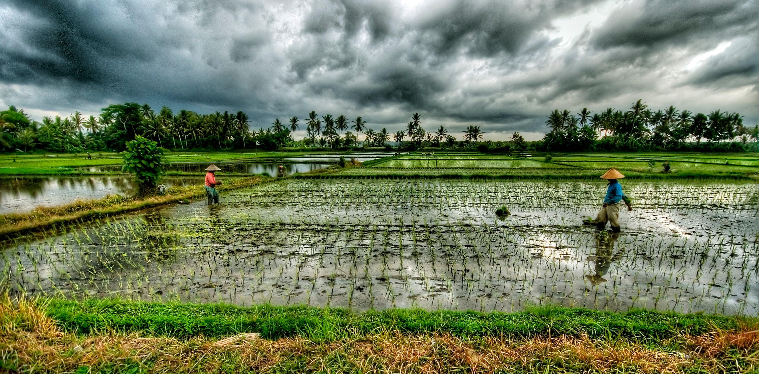 Bali in December