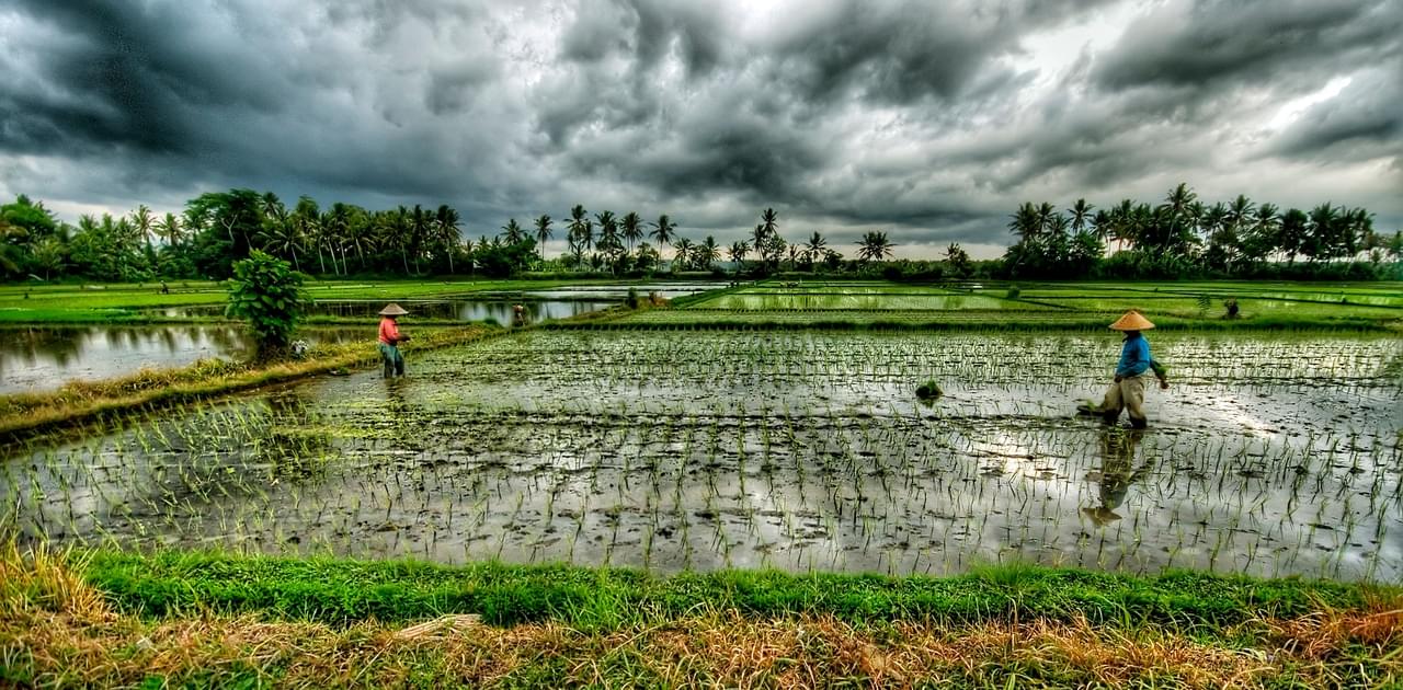 Bali in December