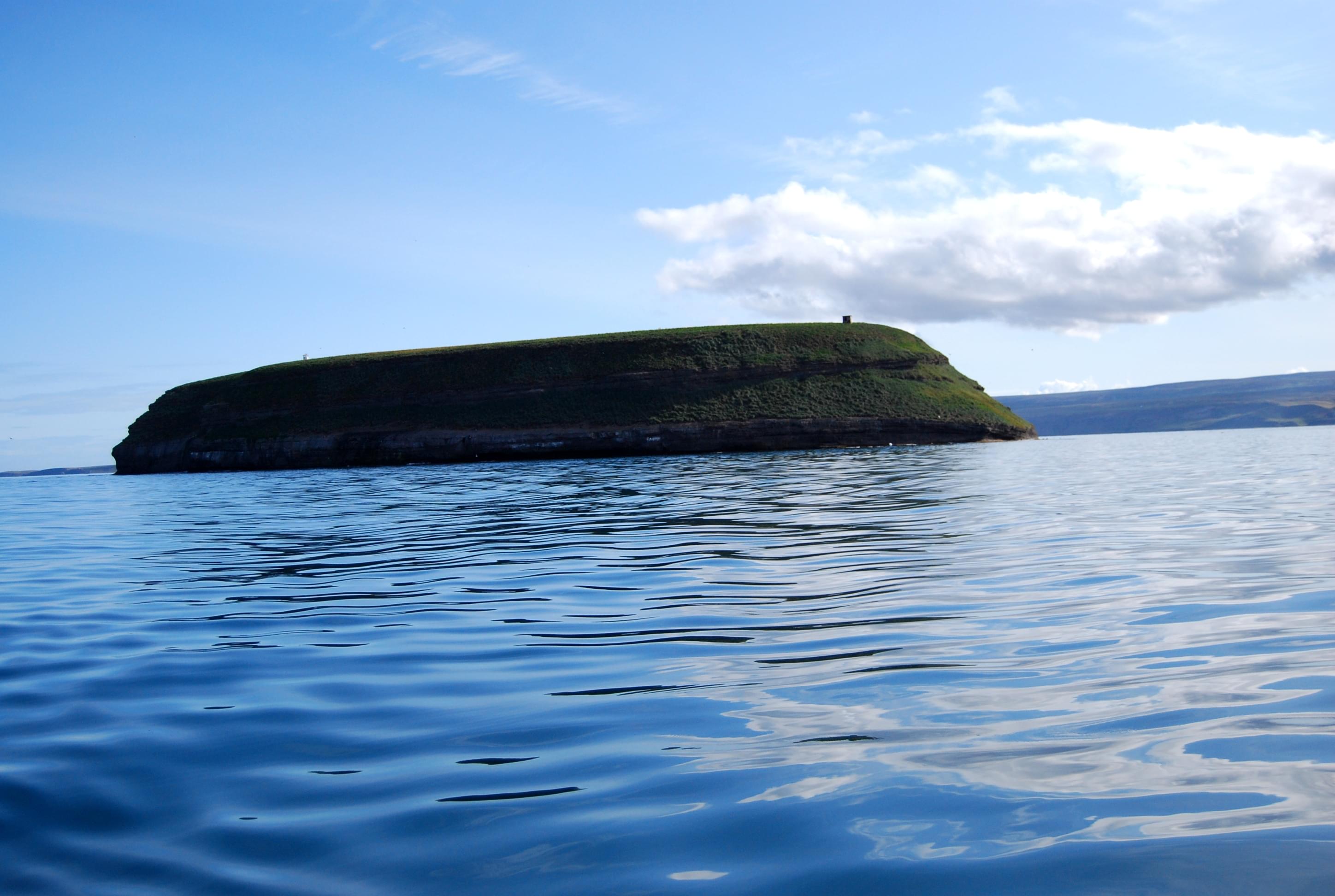 Puffin watching in Lundey Island