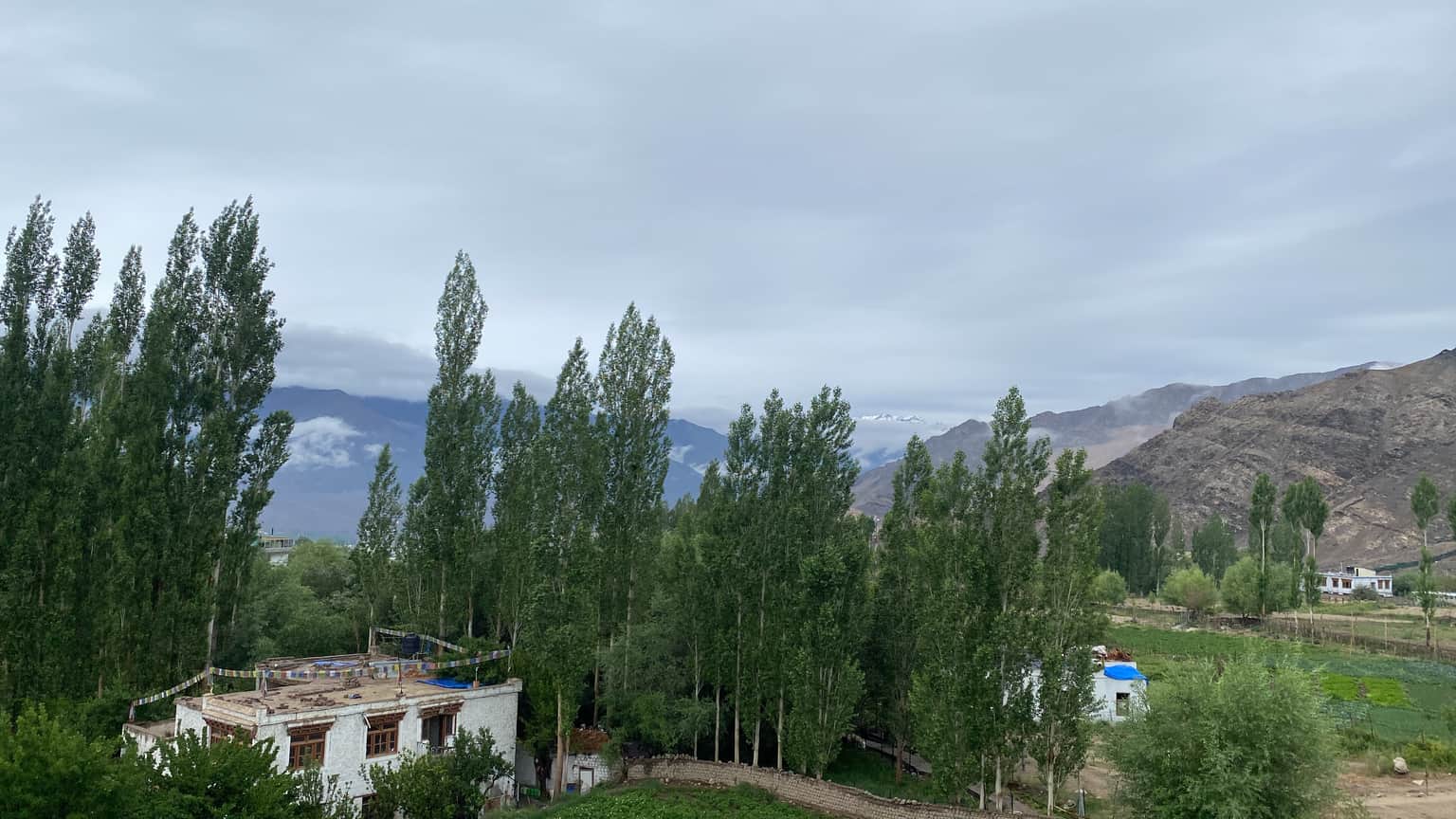 Photo from Nita 's trip