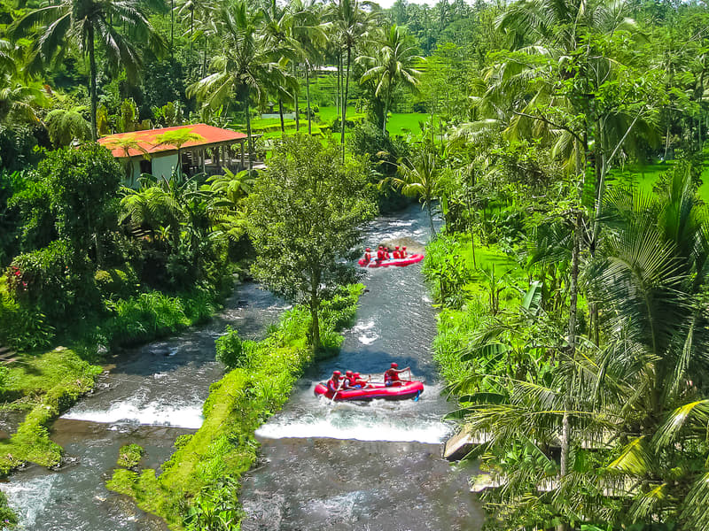Bali in a Nutshell  Image