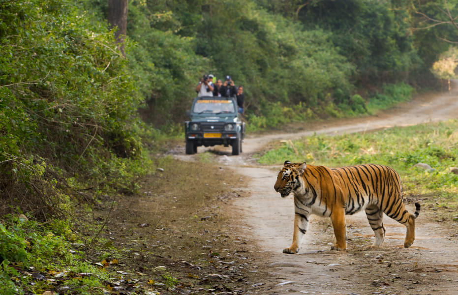 Jim Corbett Weekend Tour from Delhi Image