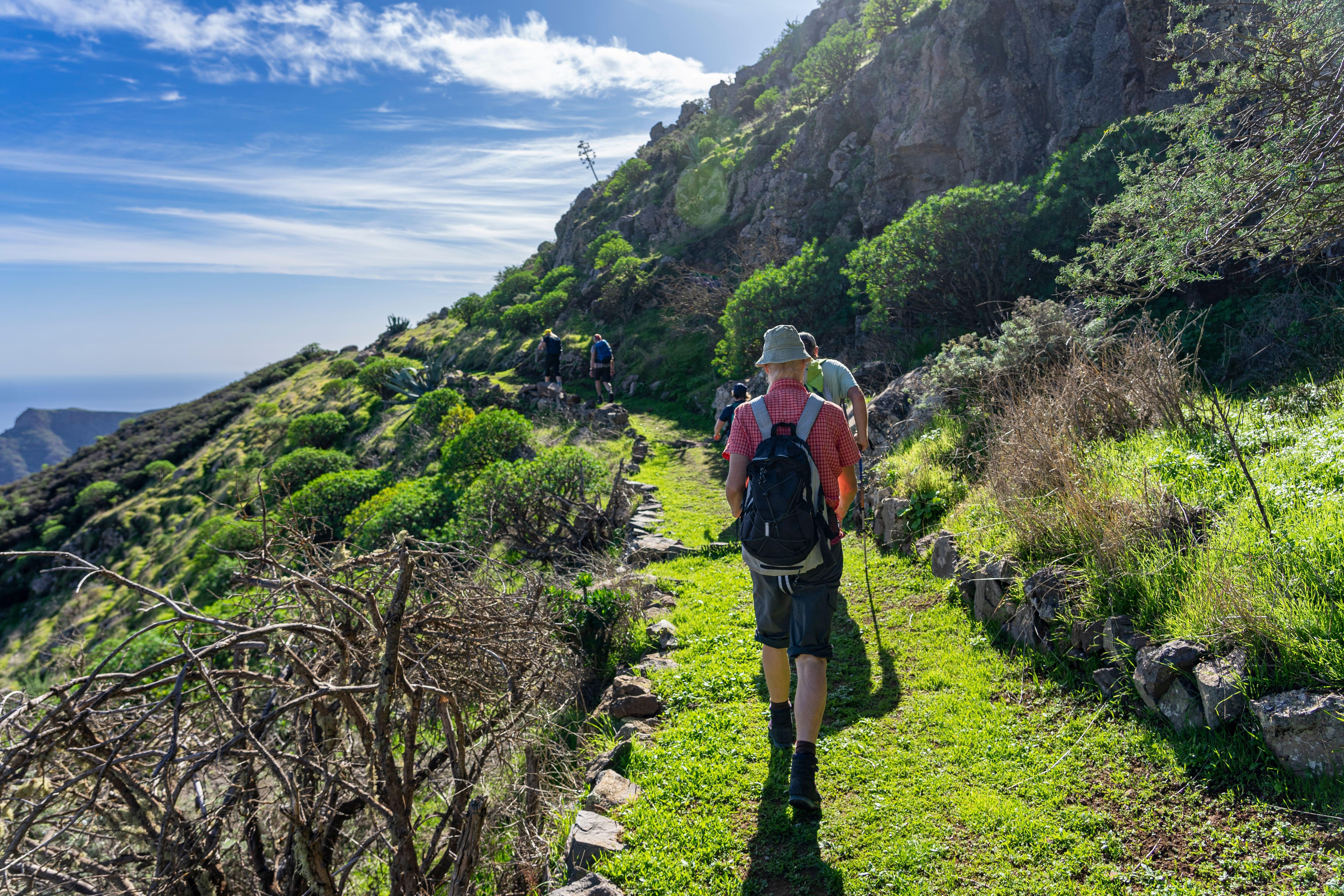 La Gomera Island Tour