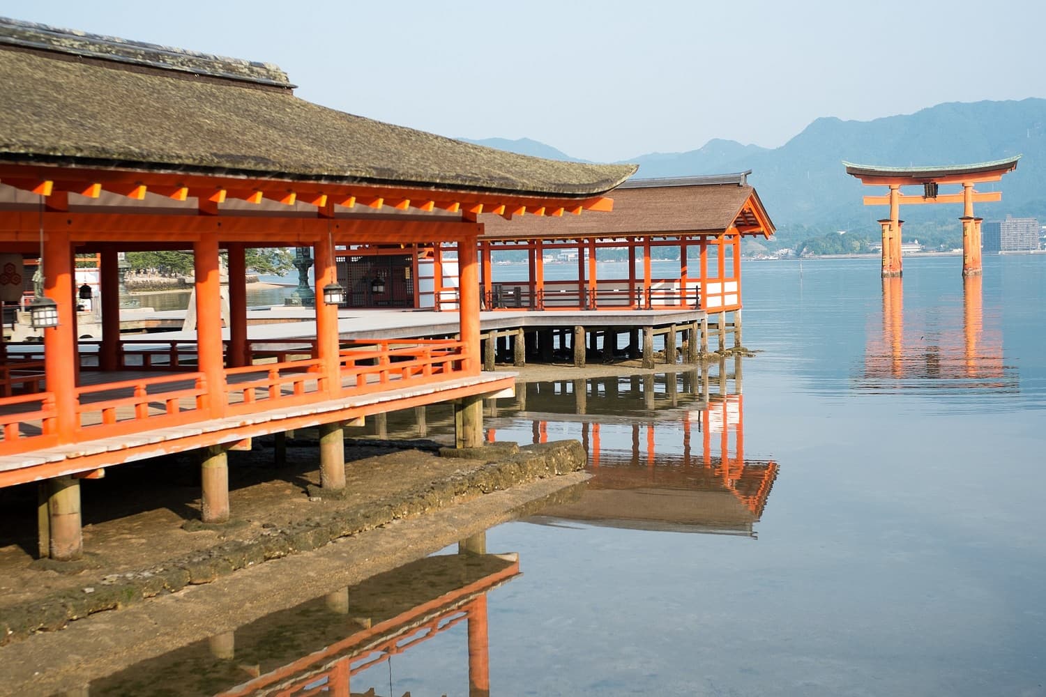 Offer prayers at Itsukushima shrine