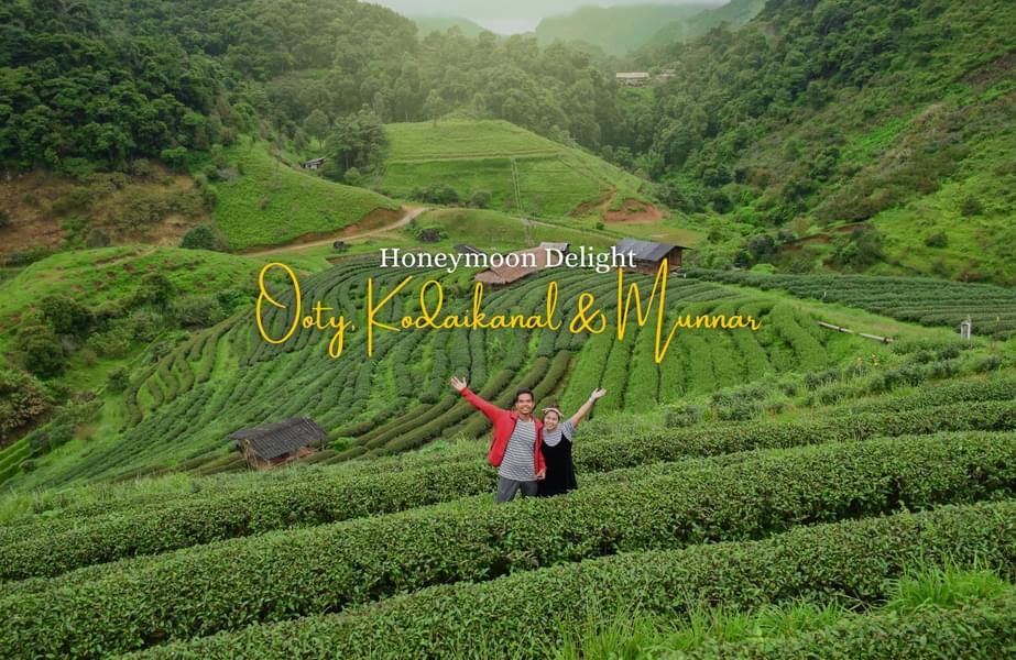 Ooty Kodaikanal Munnar Honeymoon Package Image