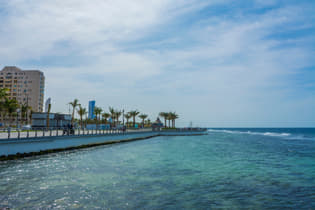 P4cdmvvjpyu31byl9v7xvnemhhng shutterstock 1152180872