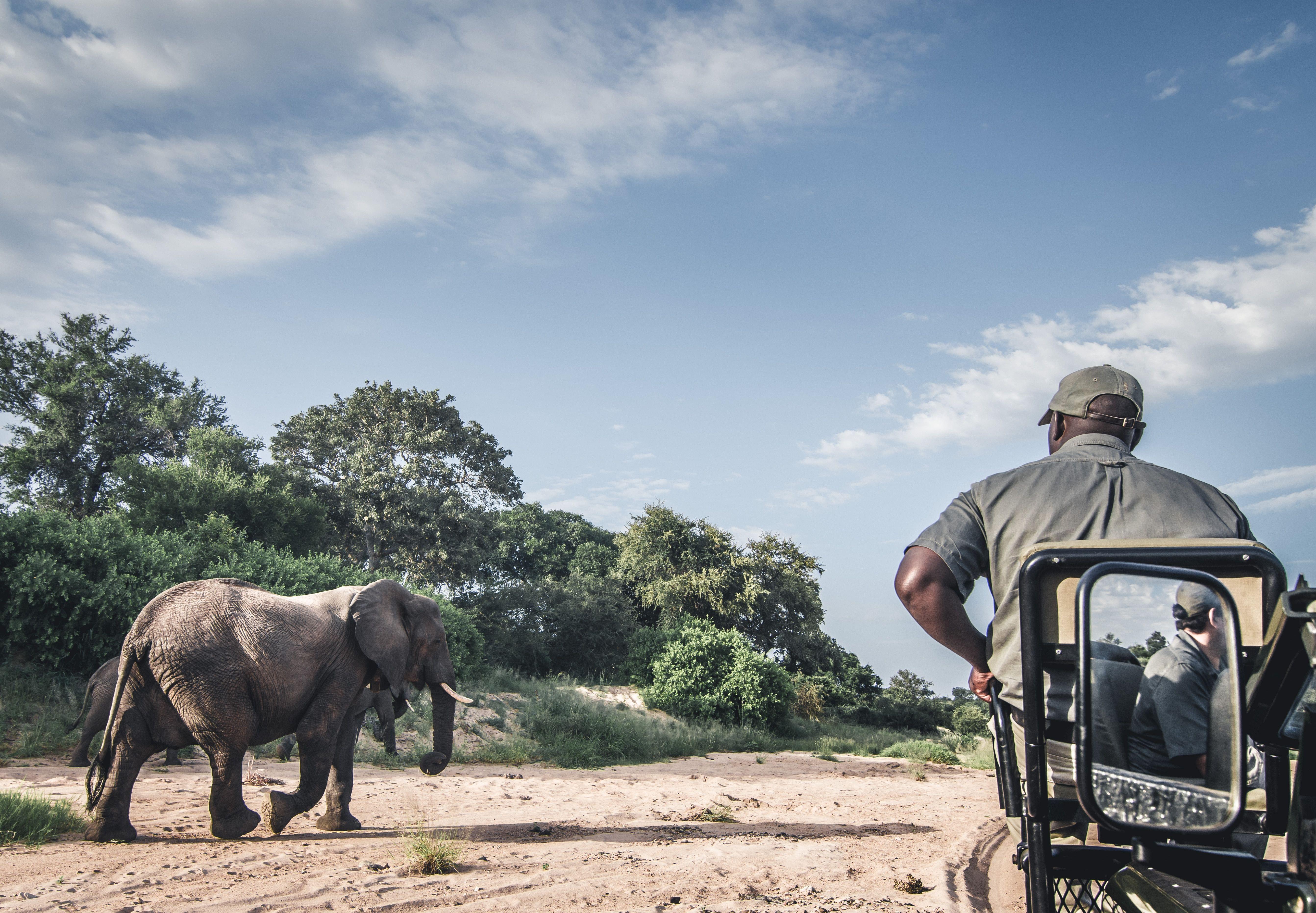 Botswana Safari Holidays