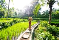 bali-holiday-package-including-flights