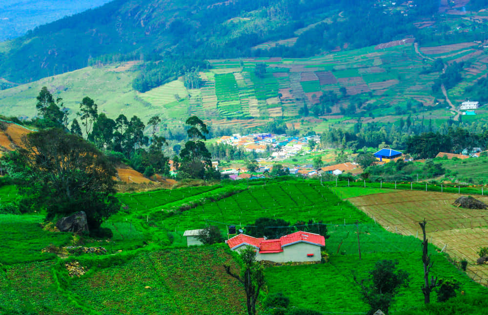 Interesting Facts About Ooty