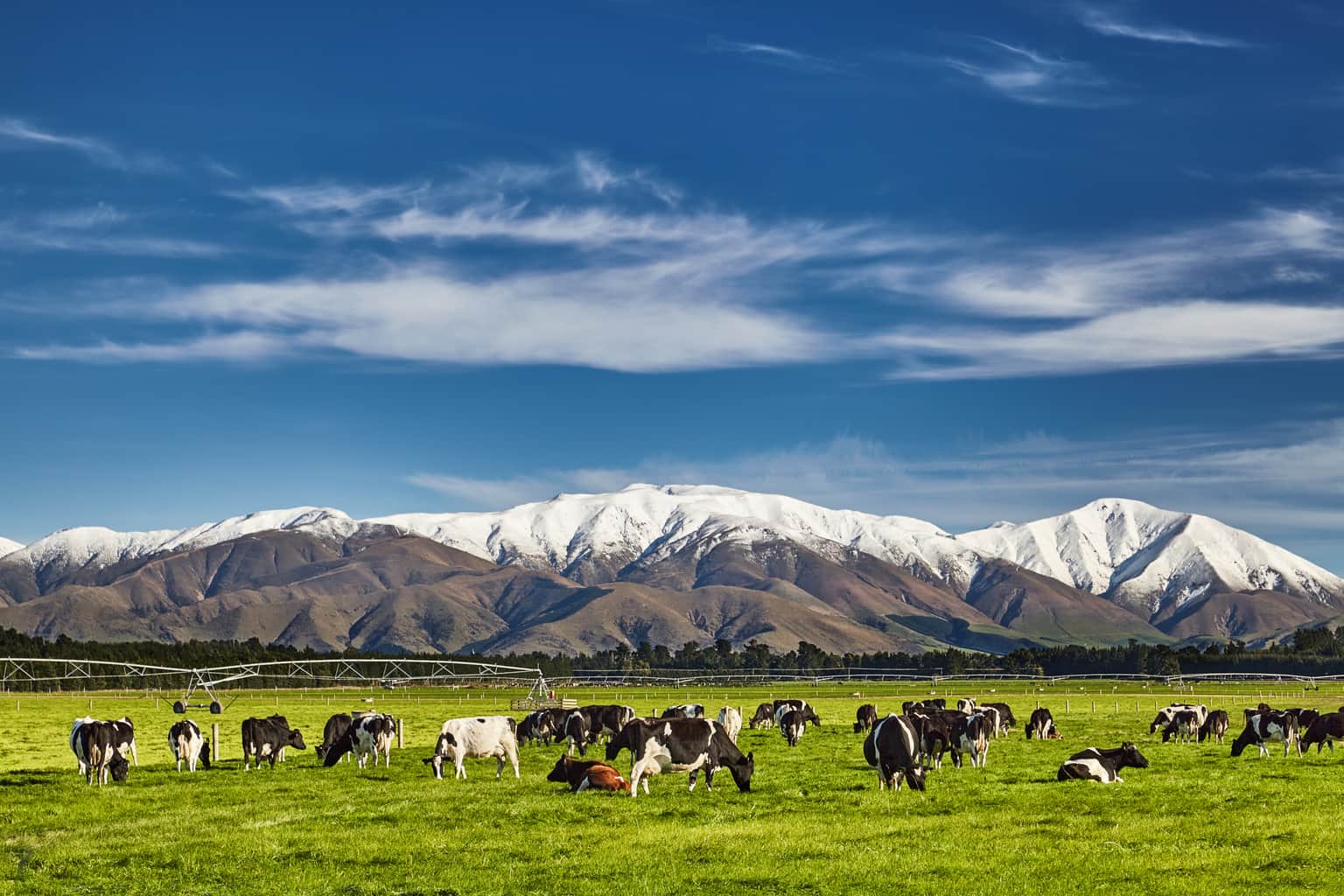 New Zealand