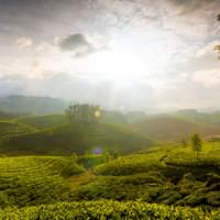 honeymoon-packages-in-kerala-for-2-days