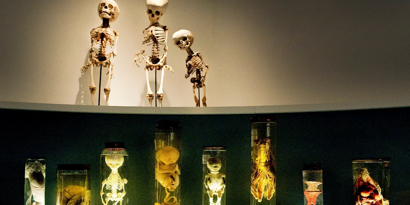 Explore the scientific exhibits