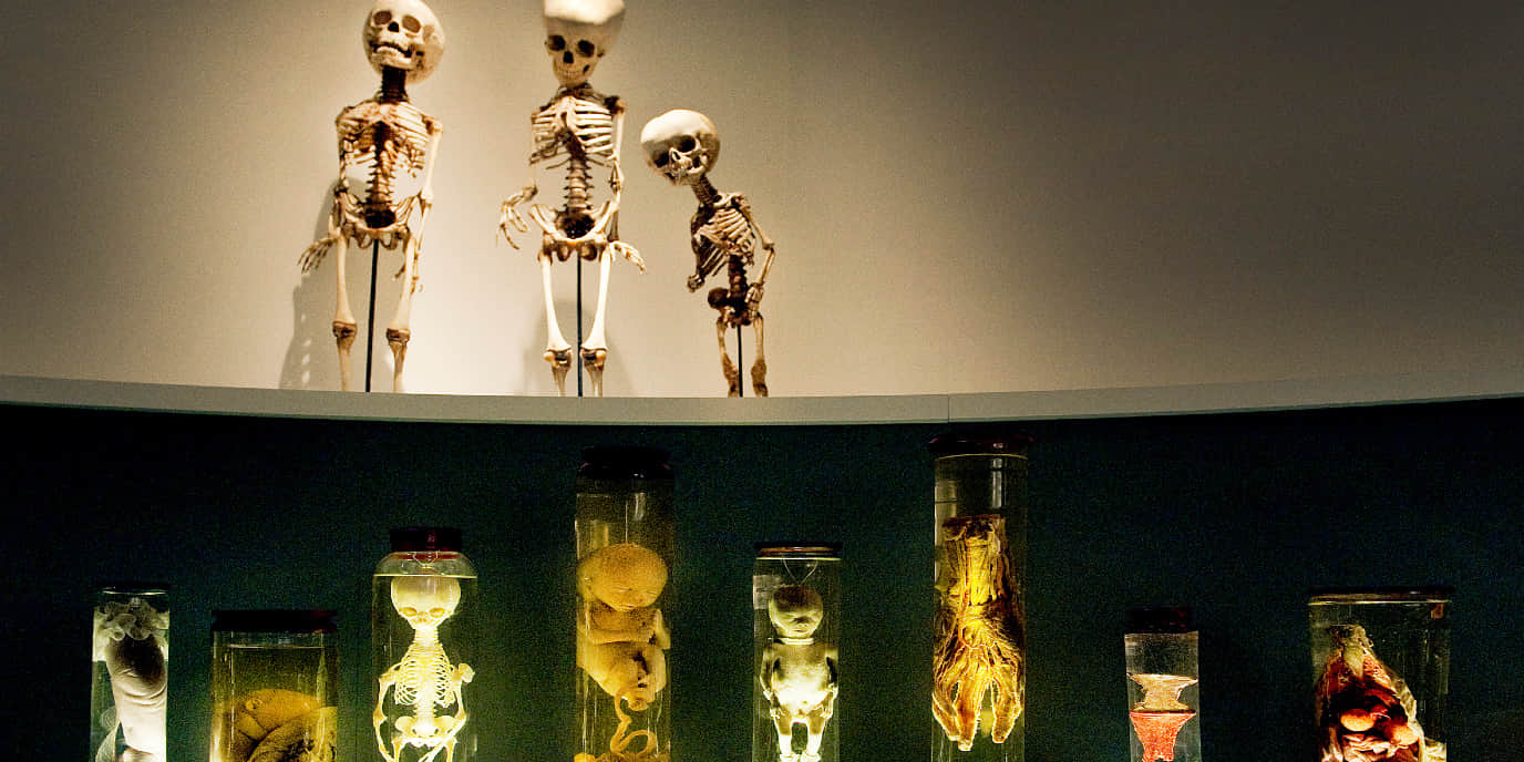 Explore the scientific exhibits