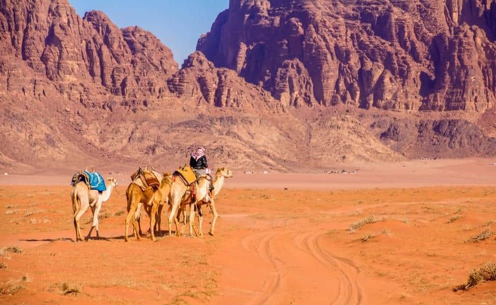 Best Sightseeing Tours in Jordan (Upto 20% Off)