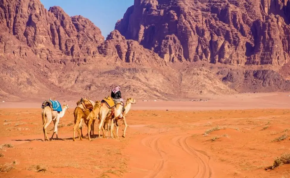 Best Sightseeing Tours in Jordan (Upto 20% Off)