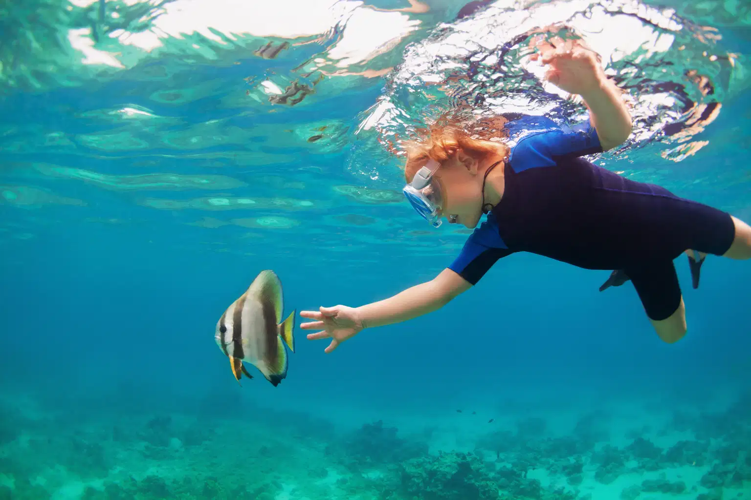 Snorkeling in Pondicherry