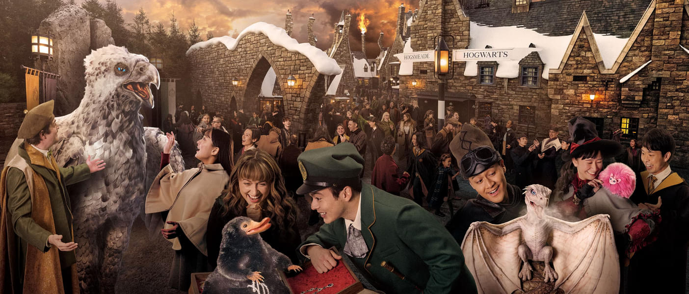 The Wizarding World of Harry Potter zone
