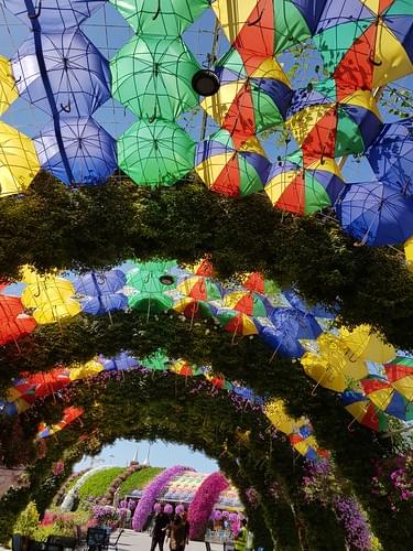 Dubai Miracle Garden Umbrella Tunnel