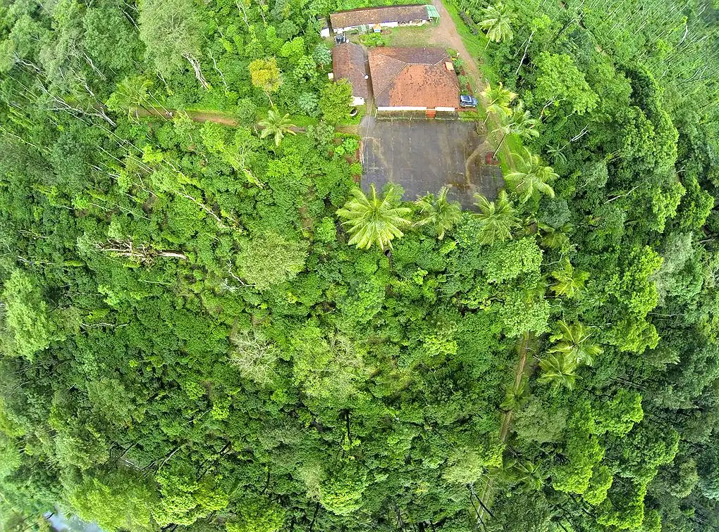 Machaan Wilderness Lodge, Coorg | Luxury Staycation Deal