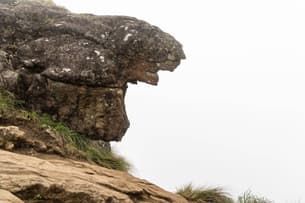 P90cjszfadc9m47r9pdwvp17ev7x downpic.cc image473018448