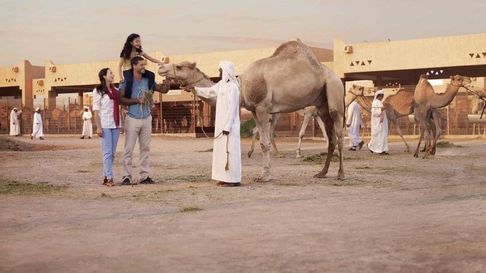 Al Ain Camel Market Overview