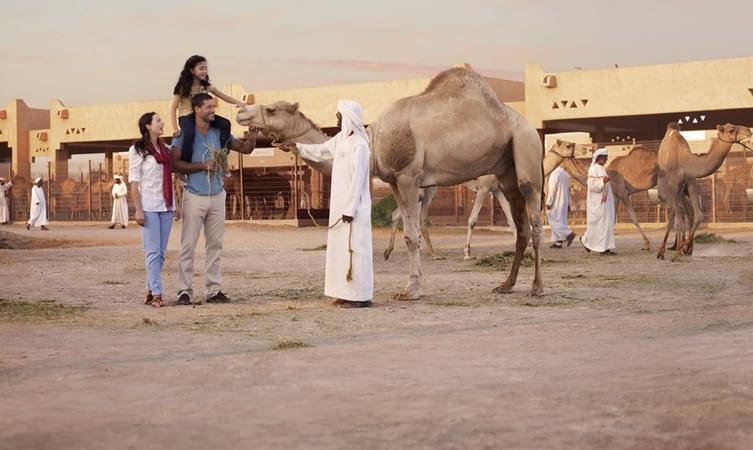 Al Ain Camel Market