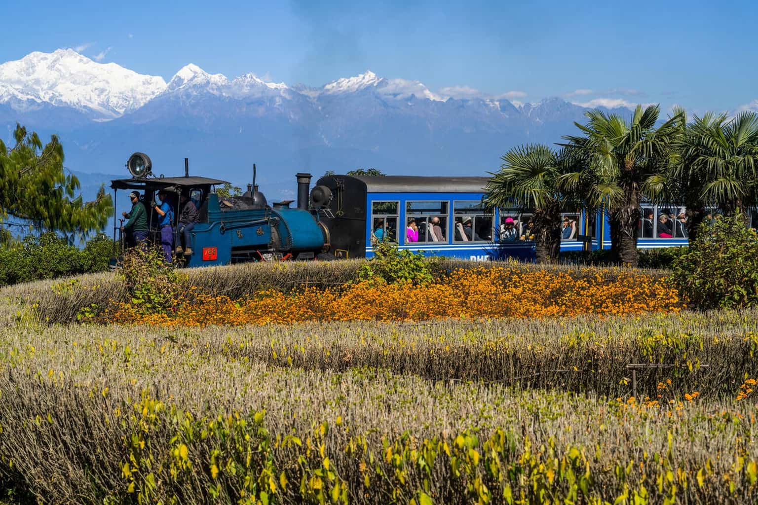 Darjeeling Toy Train Tickets