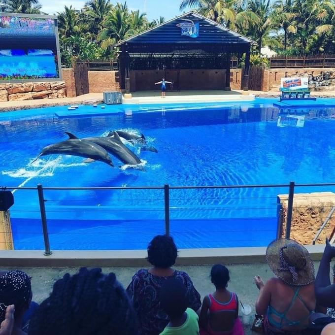 Ushaka Marine World Tickets