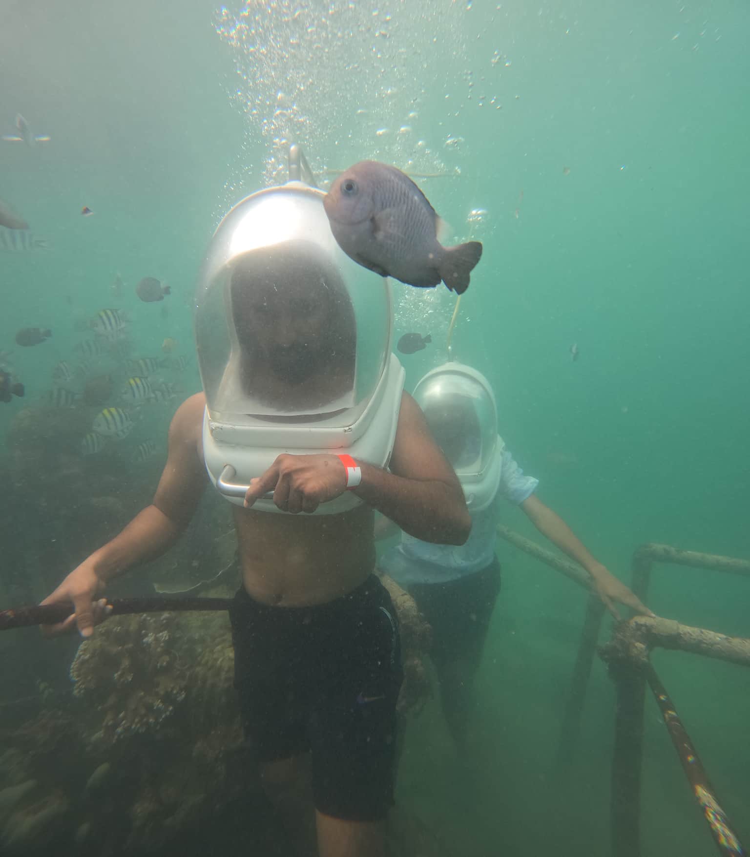 Photo from Mohammed  Pasha's trip