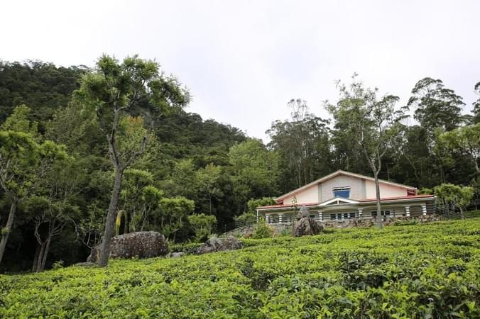 Exterior View of the Homestay