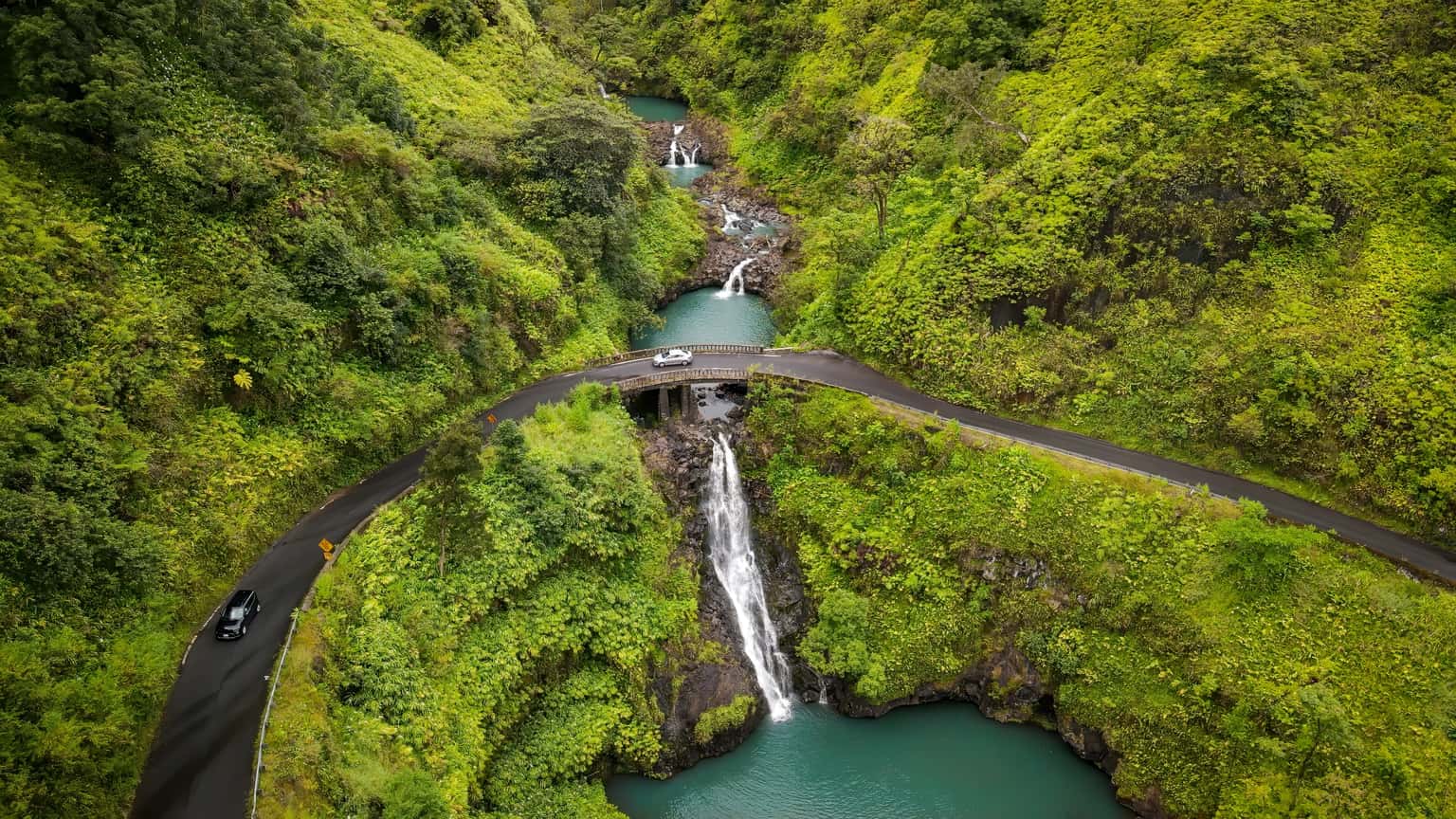 Exotic Hawaii | Island Tales and Coastal Escapes
