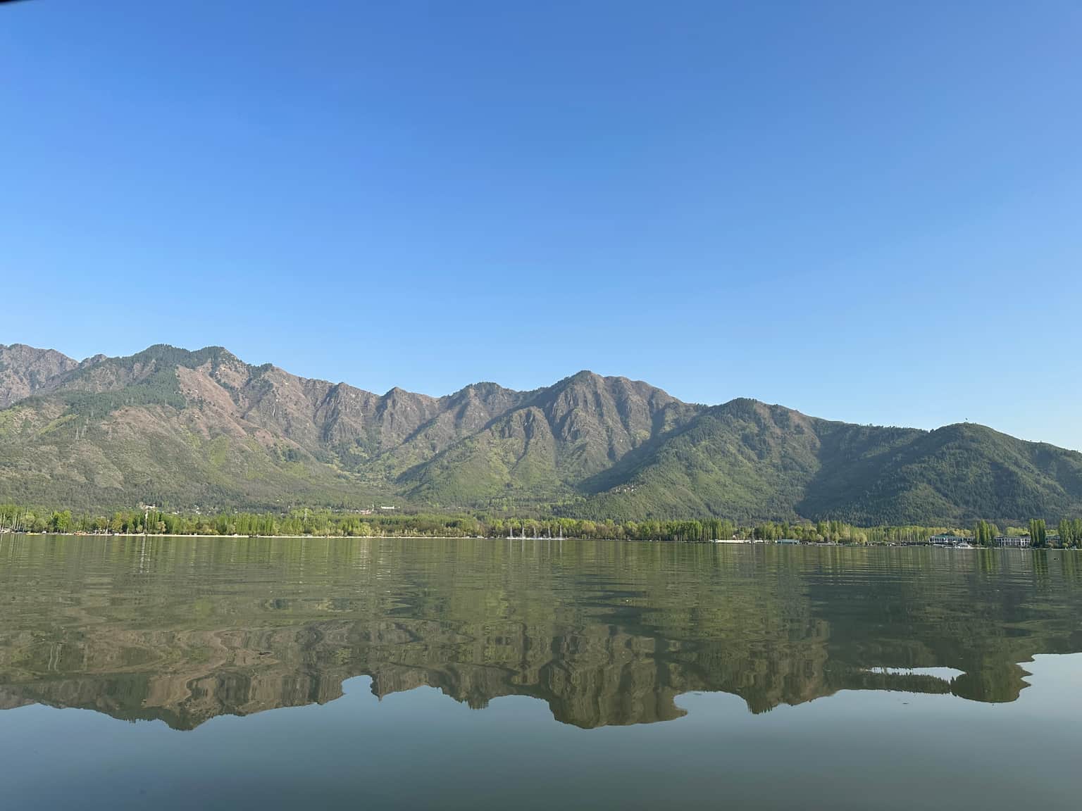 Photo from Asha Narayanan's trip