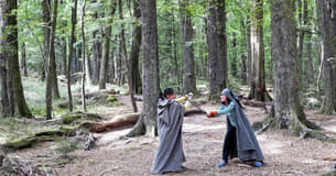 Paoecejvj2v6s2blomlw0l3xzesz 1582362387 lord2