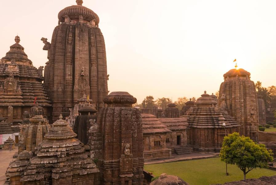 Heritage Walk in Bhubaneswar Image