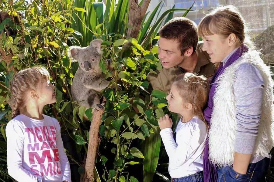 WILD LIFE Sydney Zoo