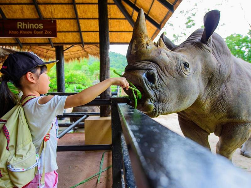 Khao Kheow Open Zoo Pattaya Tickets