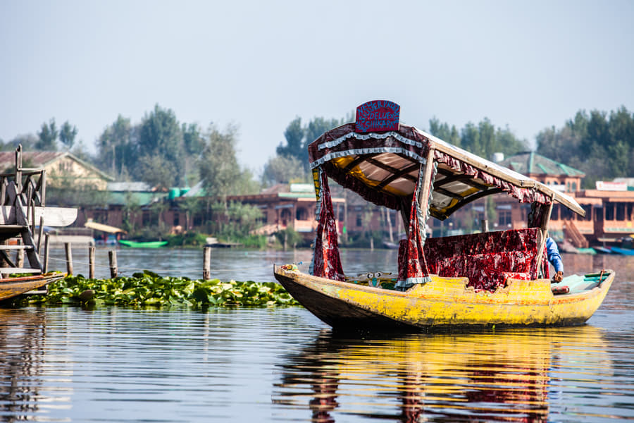 Shikara Boat Ride at Nigeen Lake, Srinagar Image